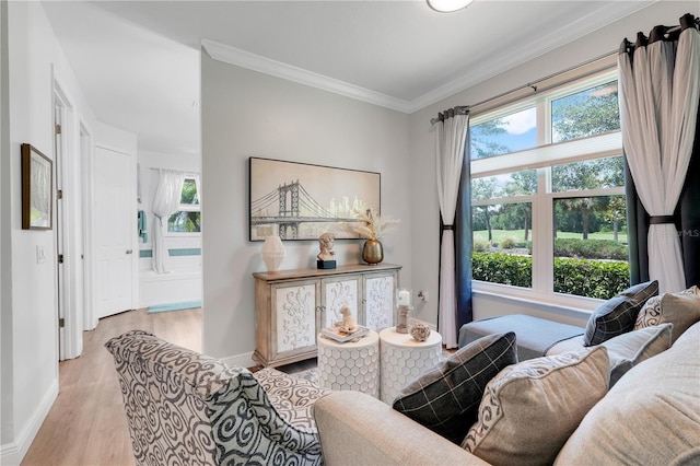 217 Lake Cassidy Dr, Kissimmee, FL 34759 - living area with plenty of natural light, ornamental molding, wood finished floors, and baseboards
