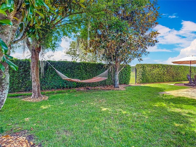 9942 Hatton Cir, Orlando, FL 32832 - photo 93