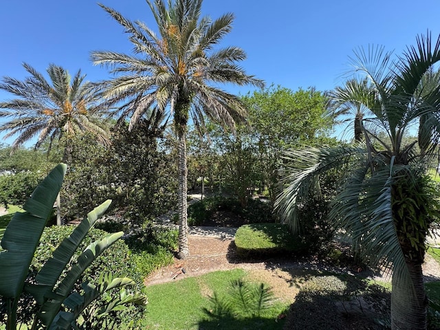 7651 Whisper Way Unit 201, Kissimmee, FL 34747 - view of yard