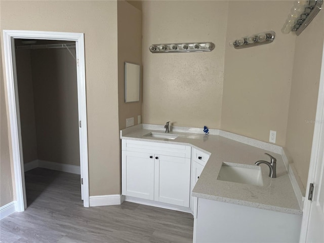 12421 Early Run Ln, Riverview, FL 33578 - bathroom featuring vanity, wood finished floors, and baseboards