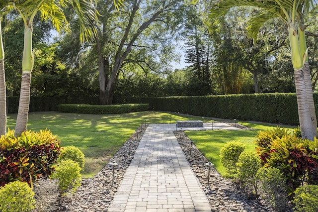 3428 Chaine Du Lac Blvd, Windermere, FL 34786 - view of green lawn