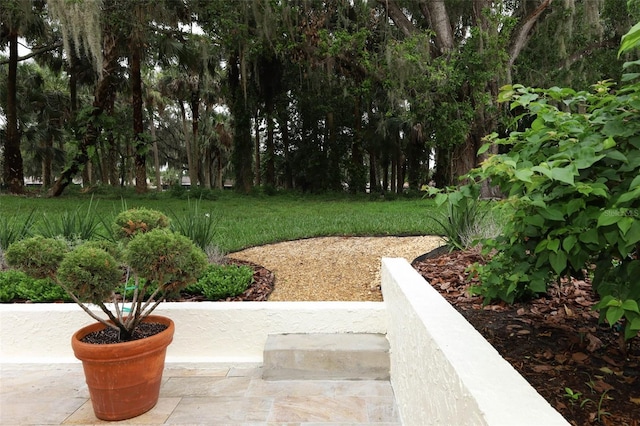 1364 Augusta National Blvd, Winter Springs, FL 32708 - view of yard