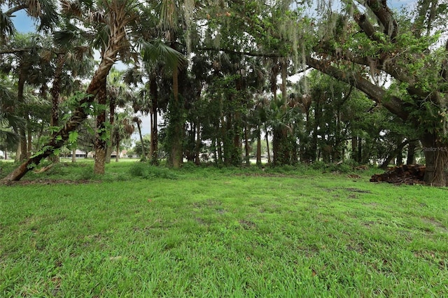 1364 Augusta National Blvd, Winter Springs, FL 32708 - view of grassy yard