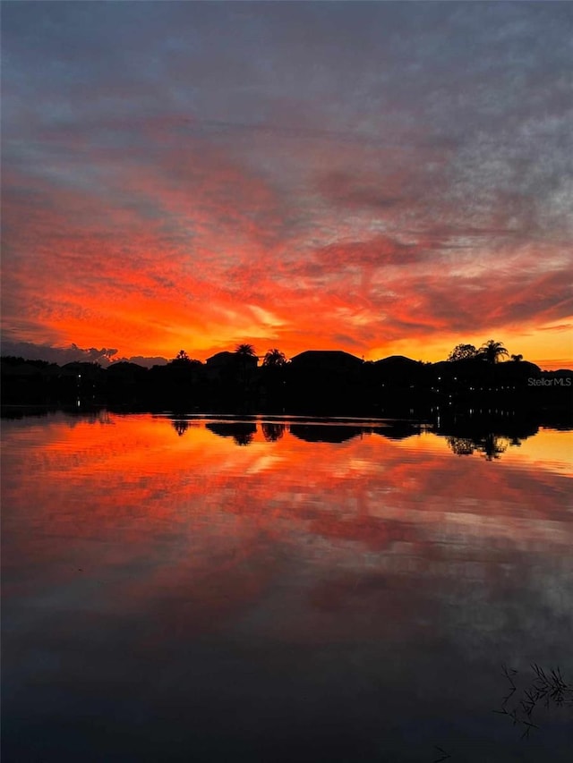 2631 Captains Ct, Kissimmee, FL 34746 - water view