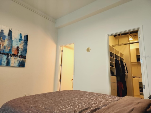 150 E Robinson St Unit 419, Orlando, FL 32801 - bedroom featuring a walk in closet and a closet