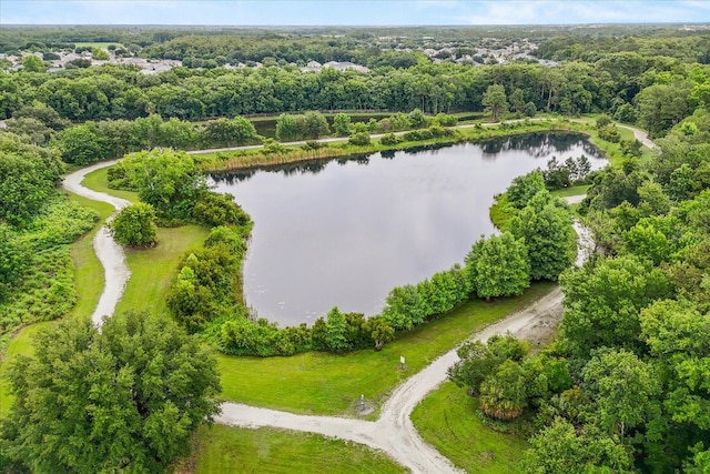 10996 Inside Loop, Orlando, FL 32825 - aerial view of a large body of water