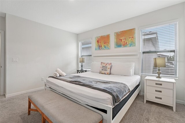 7033 Oakwood St, Davenport, FL 33837 - bedroom with light carpet and baseboards