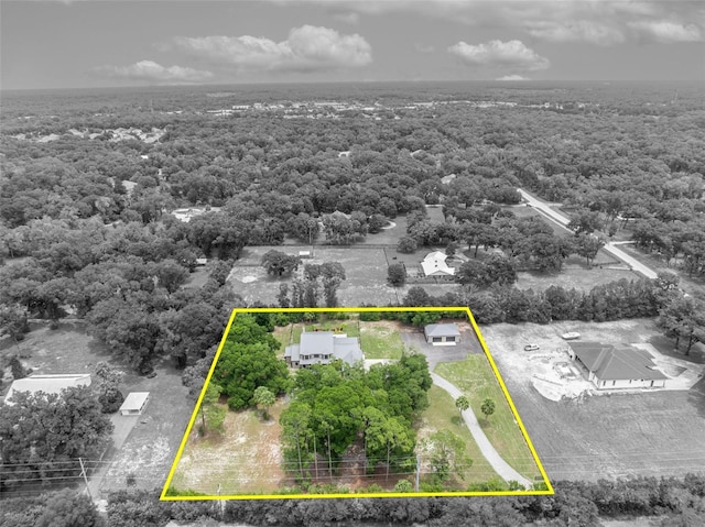 2459 Mcgregor Oaks Ln, Deland, FL 32720 - view of property location featuring property parcel outlined and a heavily wooded area