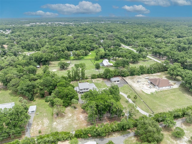 2459 Mcgregor Oaks Ln, Deland, FL 32720 - drone / aerial view of a forest