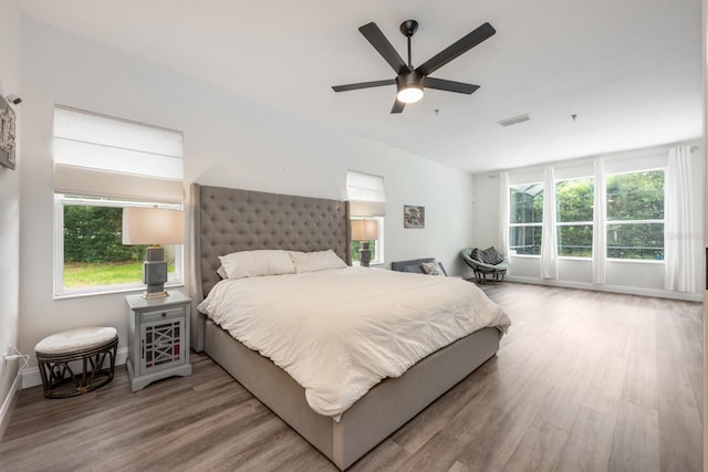 10241 Pointview Ct, Orlando, FL 32836 - bedroom featuring wood finished floors, baseboards, and ceiling fan