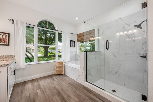 10241 Pointview Ct, Orlando, FL 32836 - full bath with vanity, a garden tub, a marble finish shower, wood finished floors, and baseboards