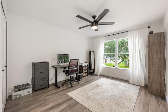 10241 Pointview Ct, Orlando, FL 32836 - office space with a ceiling fan, wood finished floors, and baseboards