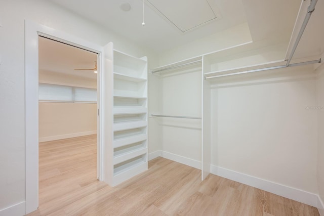 5108 Saint Albans Ave, Siesta Key, FL 34242 - walk in closet with wood finished floors and attic access