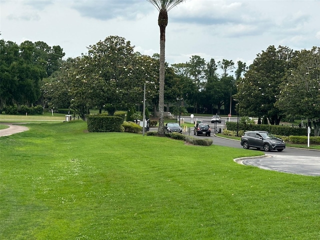 7350 Westpointe Blvd Unit 234, Orlando, FL 32835 - view of grassy yard