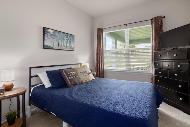 2168 Aibonito Cir, Clermont, FL 34711 - view of carpeted bedroom