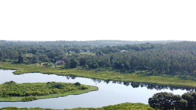 10809 Arrowtree Blvd, Clermont, FL 34715 - aerial view of a large body of water and a forest