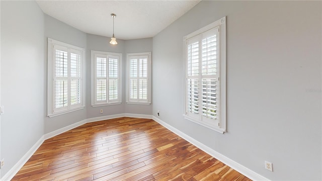 10809 Arrowtree Blvd, Clermont, FL 34715 - empty room featuring healthy amount of natural light, wood-type flooring, baseboards, and a textured ceiling