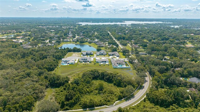 2504 Windermere Reserve Ct, Windermere, FL 34786