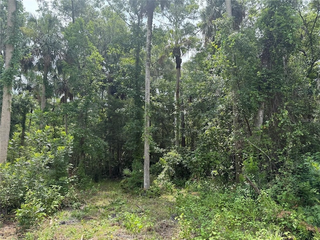 Okaloosa Trl, Sorrento, FL 32776 - photo 2
