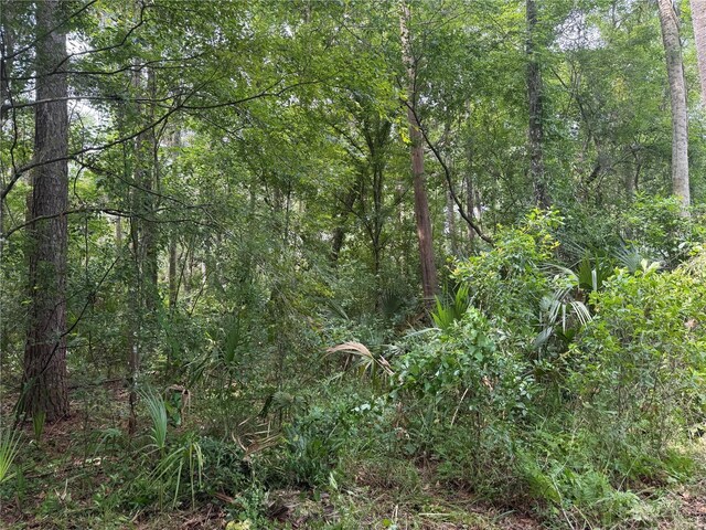 Okaloosa Trl, Sorrento, FL 32776 - photo 3