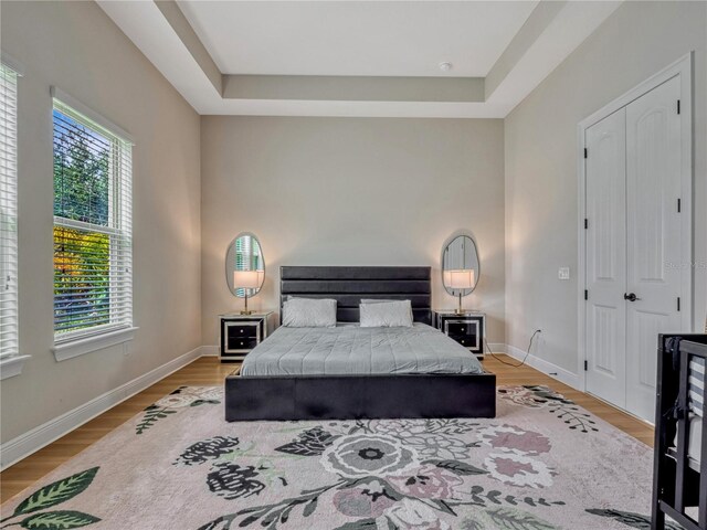 8047 Chilton Dr, Orlando, FL 32836 - bedroom with light wood finished floors, baseboards, and a tray ceiling