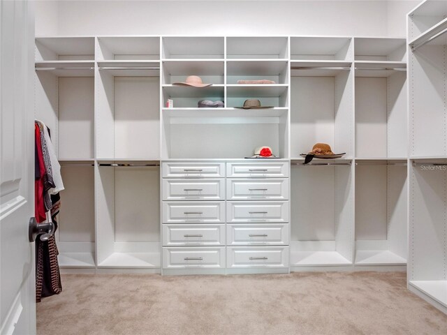 8047 Chilton Dr, Orlando, FL 32836 - walk in closet with light carpet