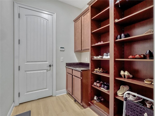 8047 Chilton Dr, Orlando, FL 32836 - wine cellar with light wood finished floors and baseboards