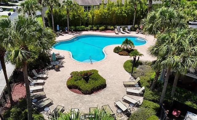 10124 Westpark Preserve Blvd, Tampa, FL 33625 - community pool featuring a patio area