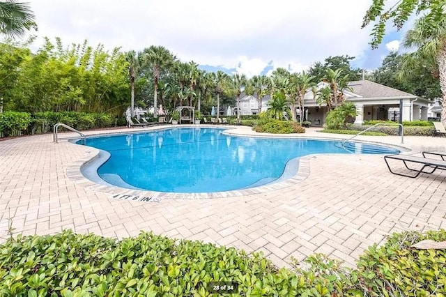 10124 Westpark Preserve Blvd, Tampa, FL 33625 - community pool with a patio and view of wooded area
