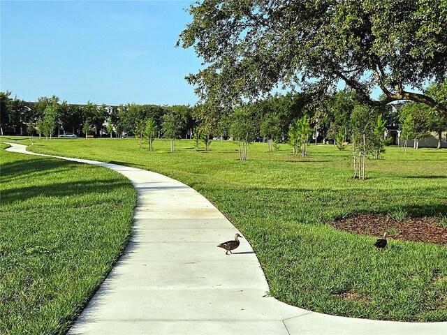 13055 Overstreet Rd, Windermere, FL 34786 - photo 96
