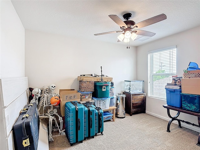 storage room with ceiling fan