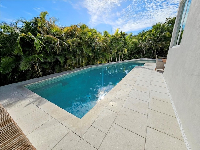 2408 Nassau St, Sarasota, FL 34231 - swimming pool featuring a patio