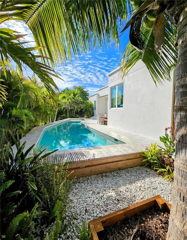 2408 Nassau St, Sarasota, FL 34231 - view of swimming pool