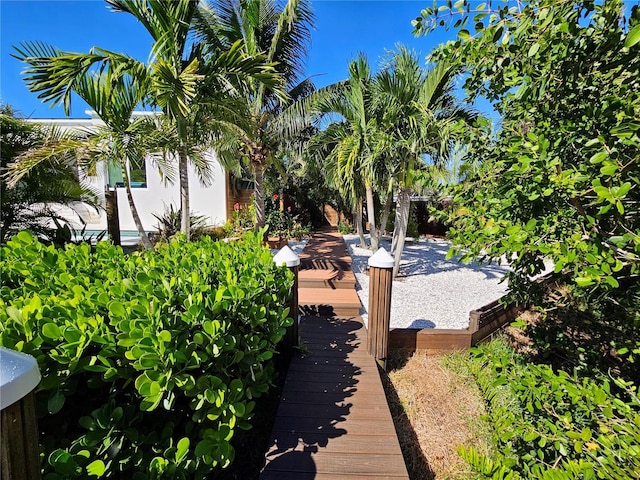 2408 Nassau St, Sarasota, FL 34231 - view of yard