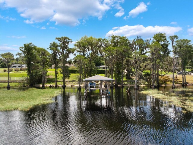 12130 Lakeshore Dr, Clermont, FL 34711 - water view with boat lift