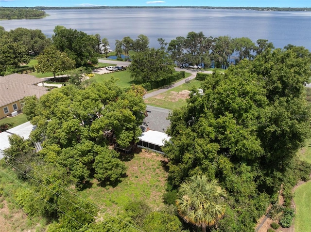 12130 Lakeshore Dr, Clermont, FL 34711 - bird's eye view of a nearby body of water