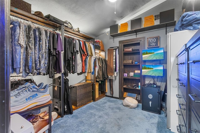 9774 Bohart Ct, Orlando, FL 32836 - spacious closet with carpet flooring