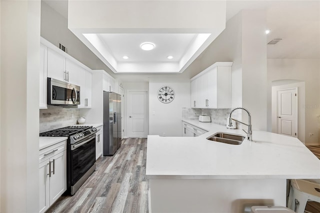 8473 Granada Blvd, Orlando, FL 32836 - kitchen with appliances with stainless steel finishes, a sink, a peninsula, light wood finished floors, and backsplash