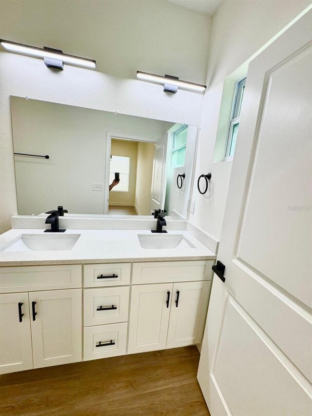 319 Anchovie Ct, Poinciana, FL 34759 - bathroom featuring double vanity and wood finished floors