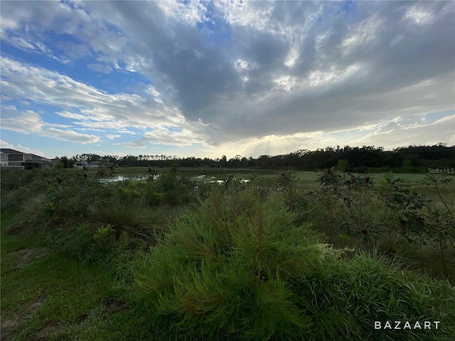 1393 Sawgrass Hammock Ln, Davenport, FL 33837 - photo 5