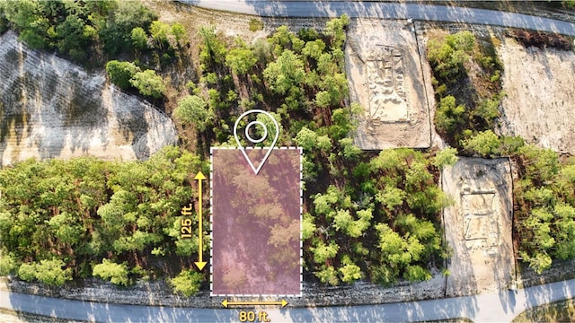 TBD SW 88th Ct, Ocala, FL 34473