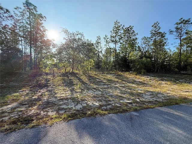 TBD SW 88th Ct, Ocala, FL 34473