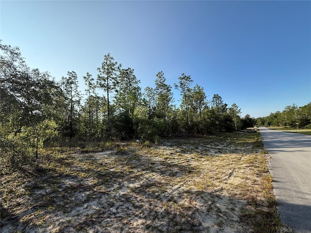 TBD SW 88th Ct, Ocala, FL 34473