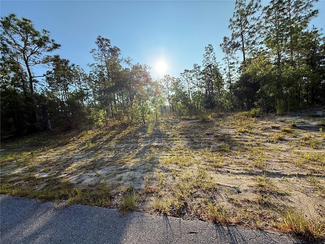 TBD SW 88th Ct, Ocala, FL 34473