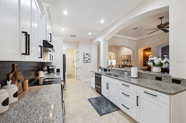 9426 Burnam Dr, Weeki Wachee, FL 34613 - kitchen with a sink, a ceiling fan, dishwasher, white cabinetry, and light stone countertops