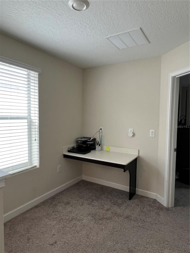 11097 N Folklore St, Winter Garden, FL 34787 - unfurnished office featuring a textured ceiling, carpet floors, plenty of natural light, and baseboards
