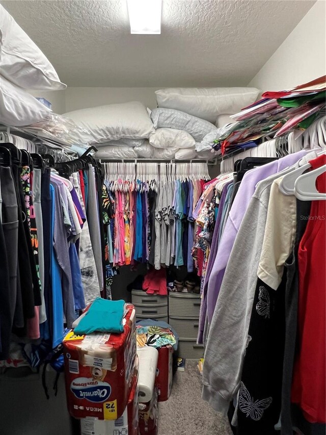 11097 N Folklore St, Winter Garden, FL 34787 - walk in closet with carpet