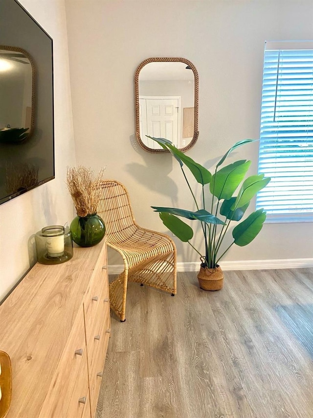 4865 S Tromp Loop, Homosassa, FL 34448 - detailed view of wood finished floors and baseboards