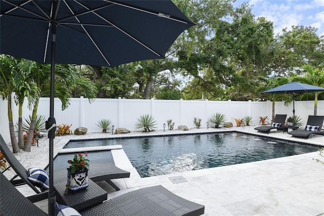 507 S Pine St, New Smyrna Beach, FL 32169 - view of swimming pool with a patio area and a fenced backyard
