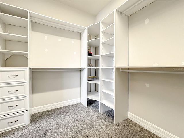 4993 Southlawn Ave, Orlando, FL 32811 - spacious closet with carpet floors